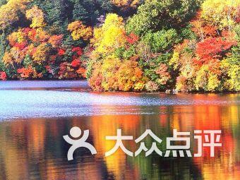hahabet棋牌登录