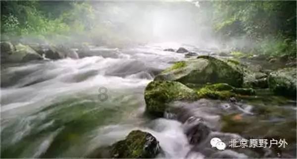 机智问答网页-最佳智能问答平台童年阿廖沙的外貌是什么?